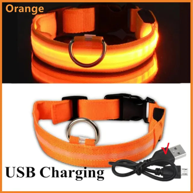 High Visibility LED Glowing Dog Collar