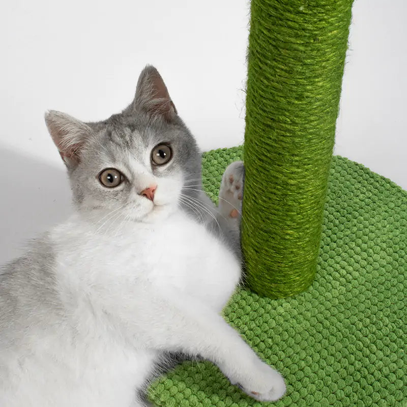 Purr-fect Cat Tree Scratching Post