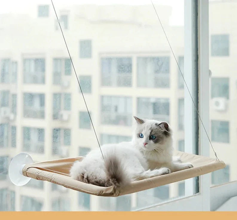 Cozy Retreat for Cats: Suction Cup Hanging Cat Hammock – Purrfection Elevated