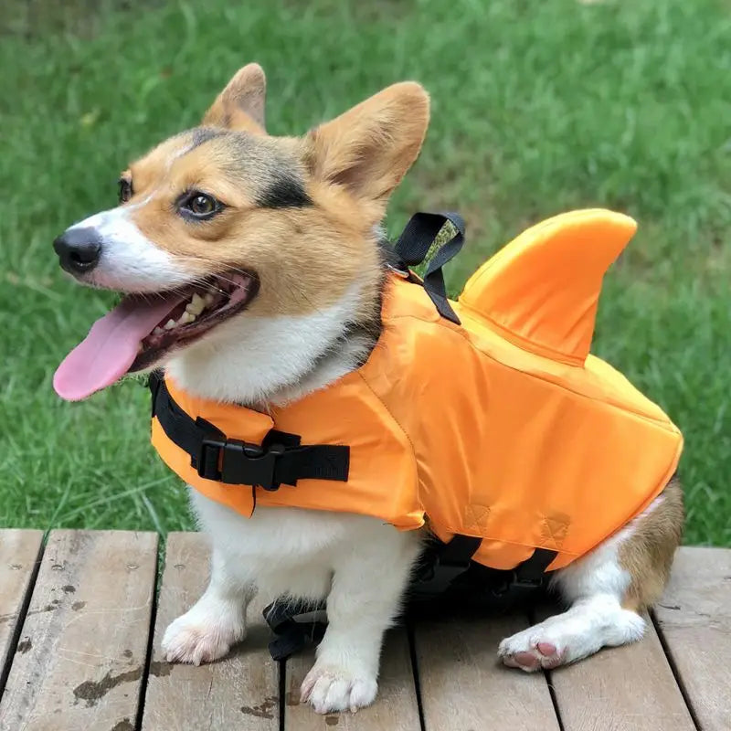 Dog Life Jacket