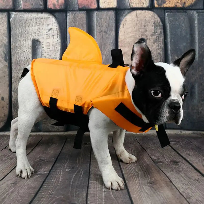 Dog Life Jacket