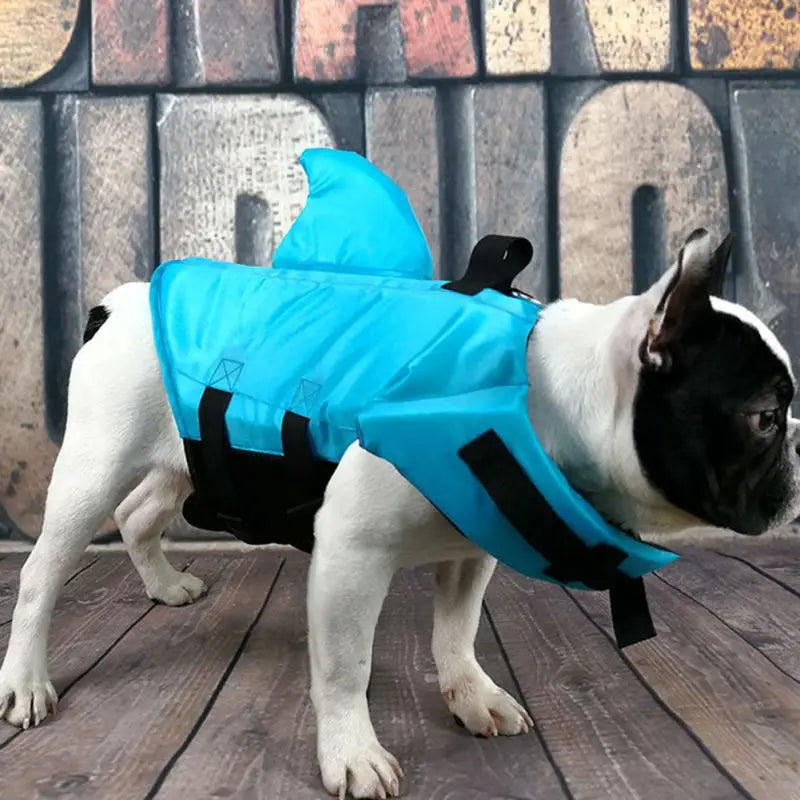 Dog Life Jacket