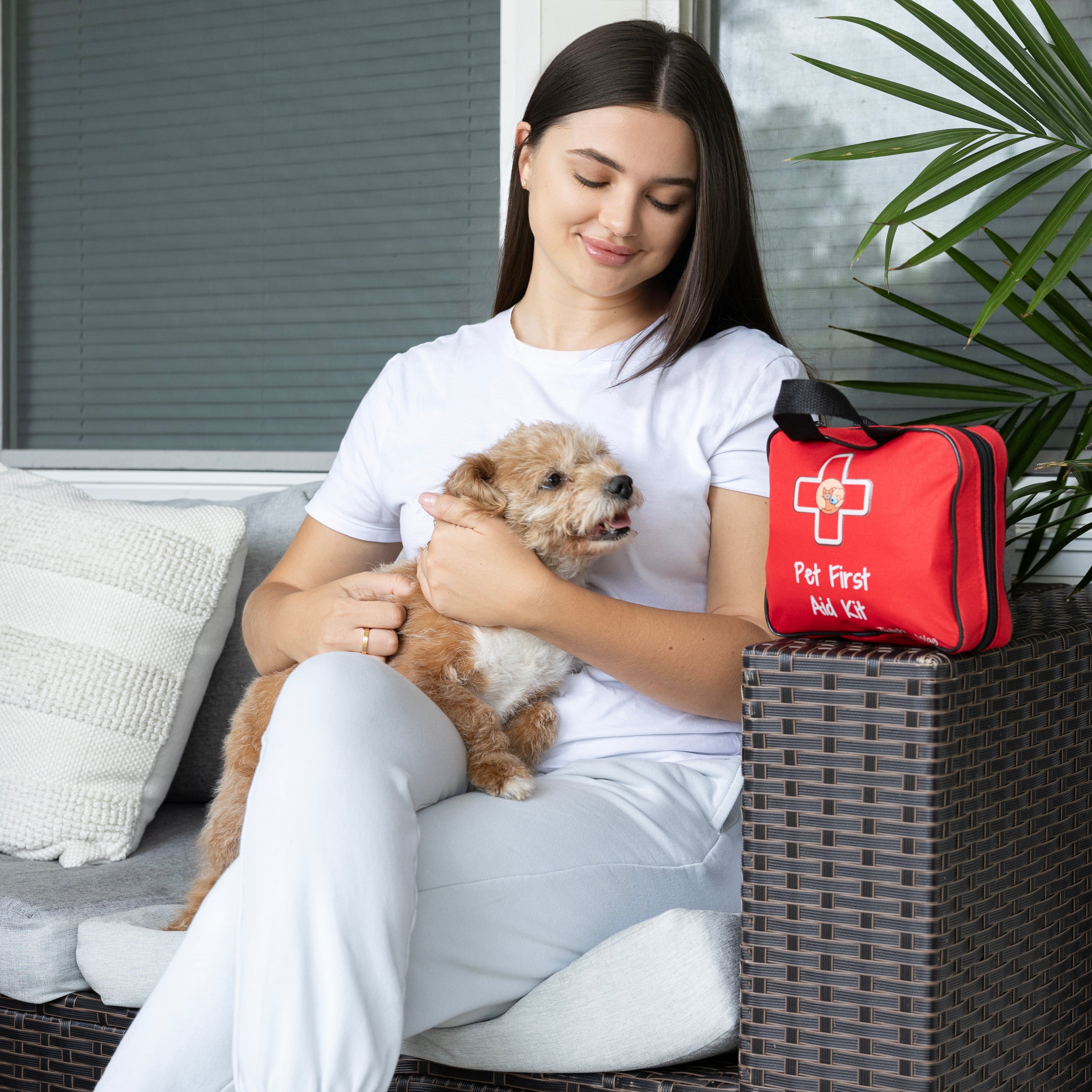 Pet First Aid Kit | Essential Safety for Your Furry Friend