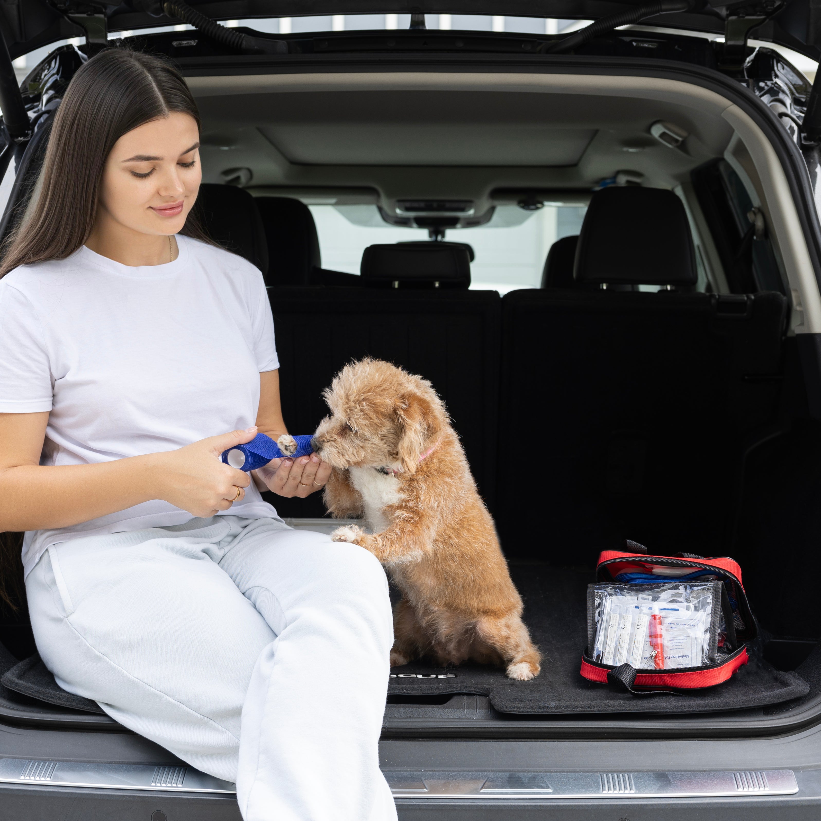 Pet First Aid Kit | Essential Safety for Your Furry Friend