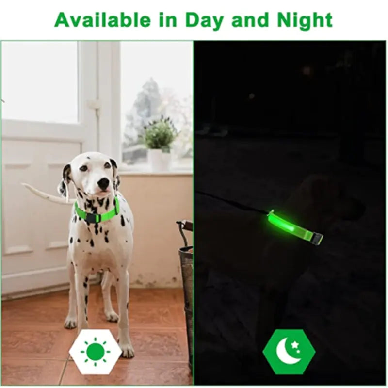 High Visibility LED Glowing Dog Collar