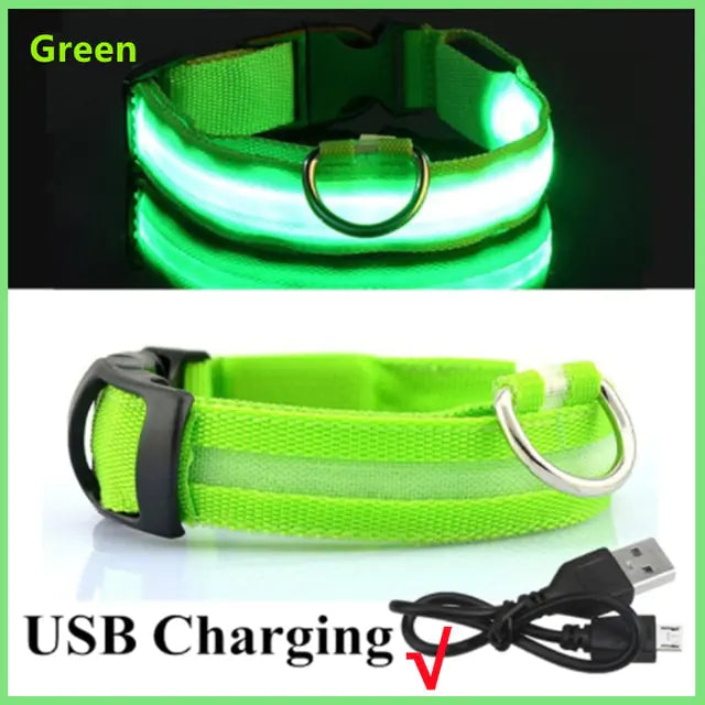 High Visibility LED Glowing Dog Collar