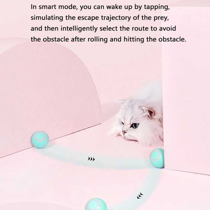 Automatic Rolling Smart Cat Ball