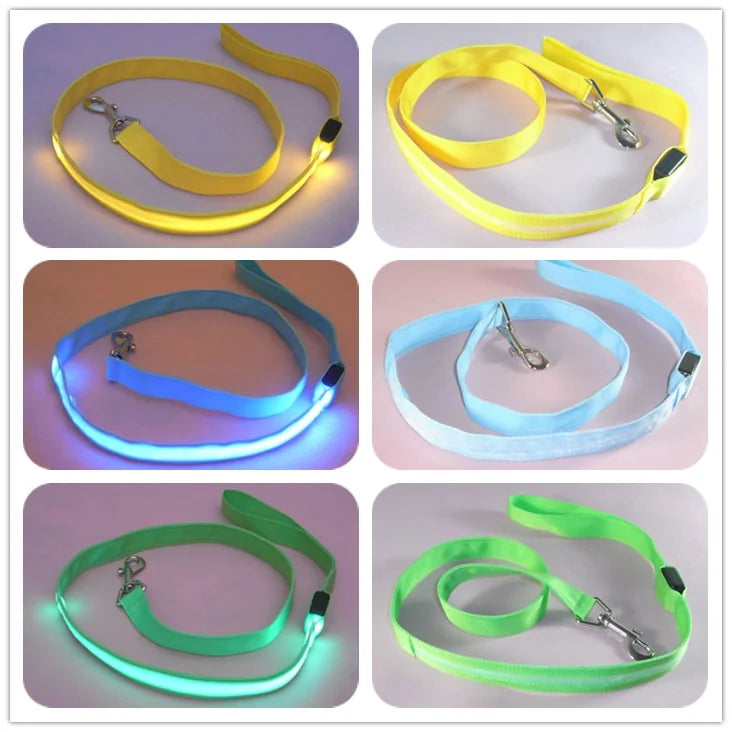 High Visibility LED Glow In Dark Dog Leash