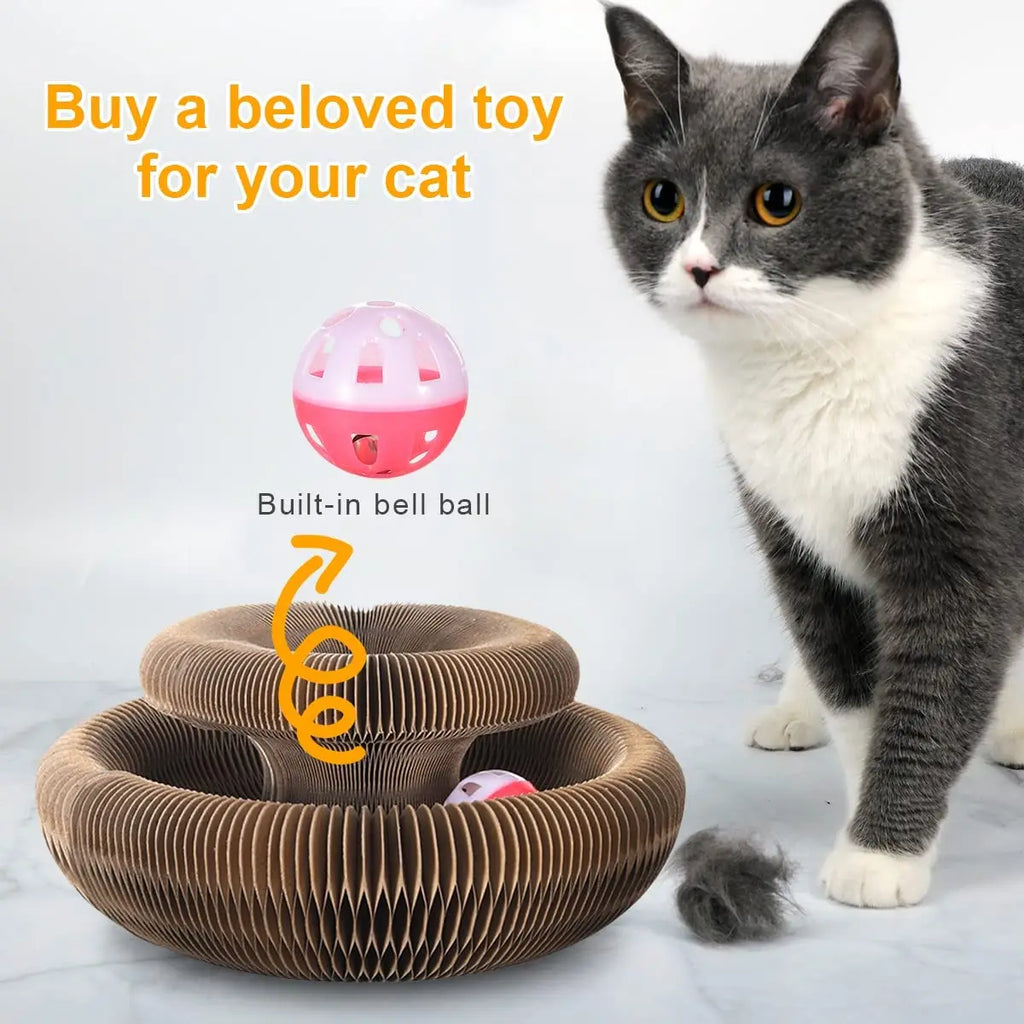 Multi-Shape Cat Scratching Board - Foldable Scratch Pad