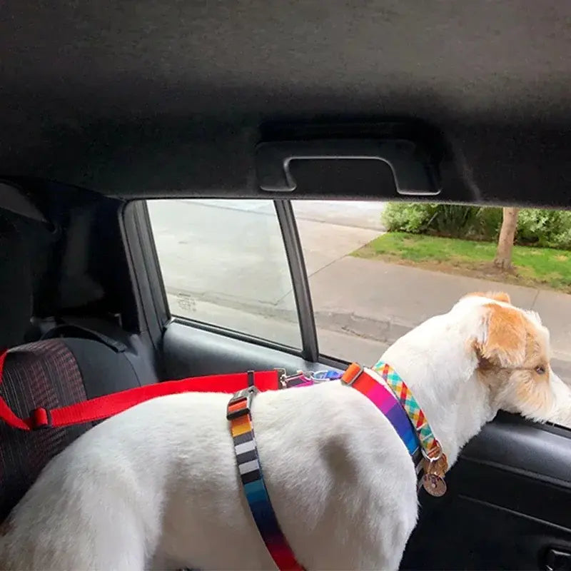Pawtastic Headrest Safety Belt