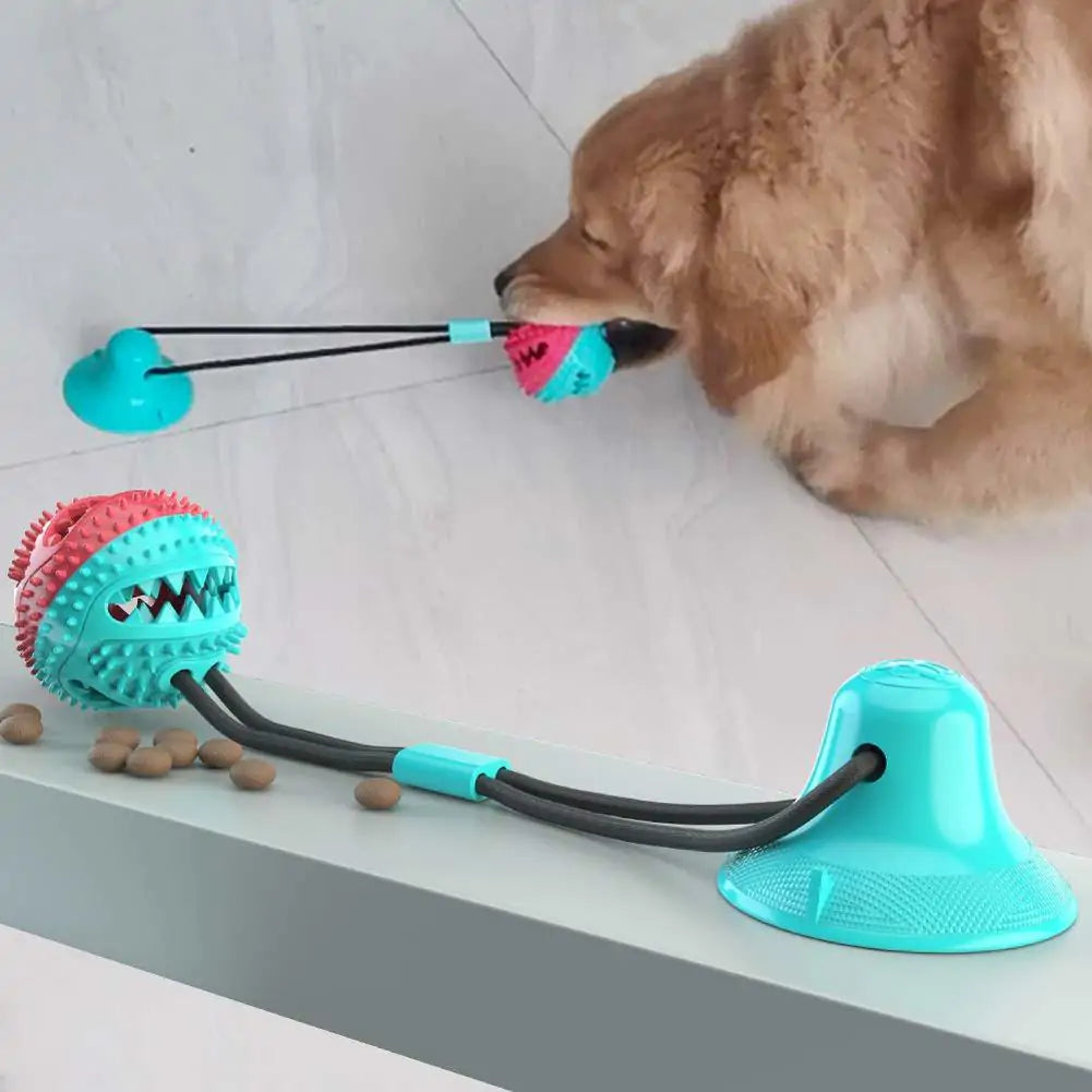 SiliChew Suction Pal: Pet Molar Bite Toy