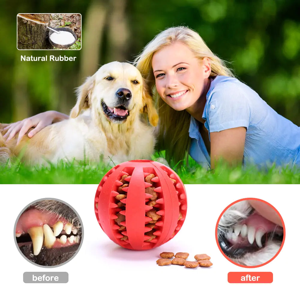 SnackSphere Teeth Cleaning Dog Toy