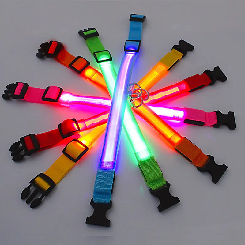 High Visibility LED Glowing Dog Collar