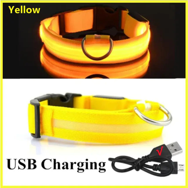 High Visibility LED Glowing Dog Collar