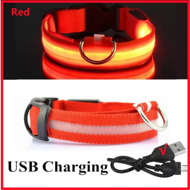 High Visibility LED Glowing Dog Collar