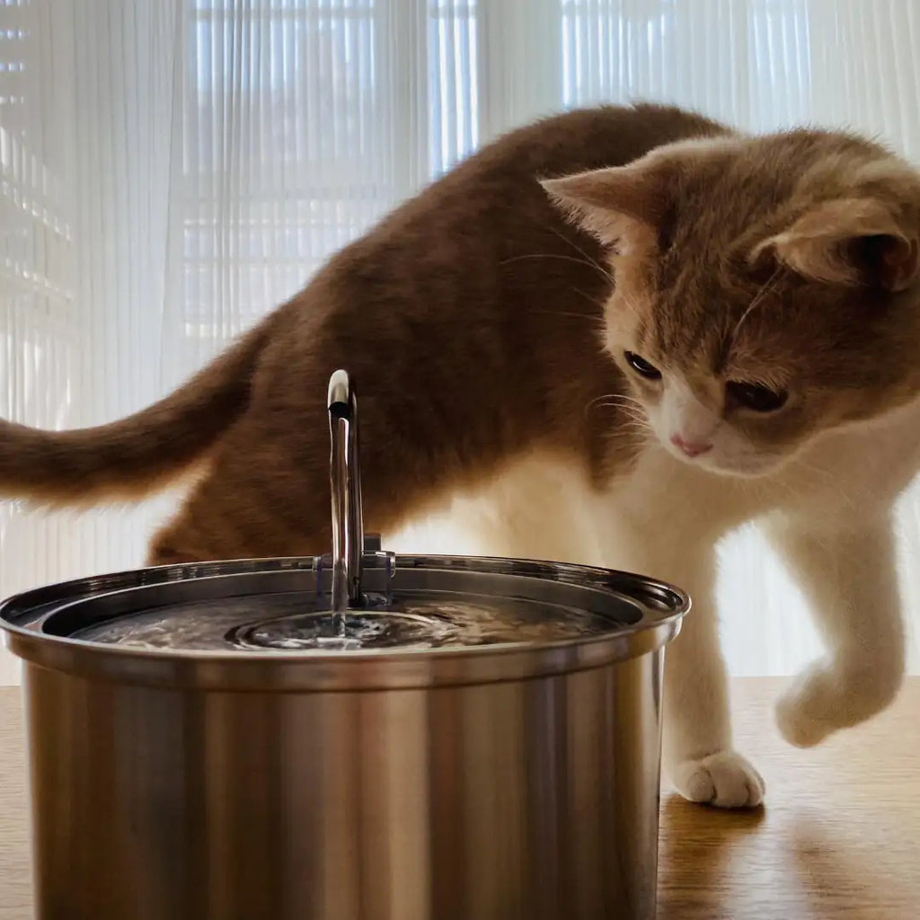 Stainless Steel Pet Water Fountain – Keep Your Furry Friends Hydrated and Happy