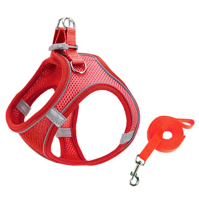 Escape Proof Cat Vest Harness & Leash Set