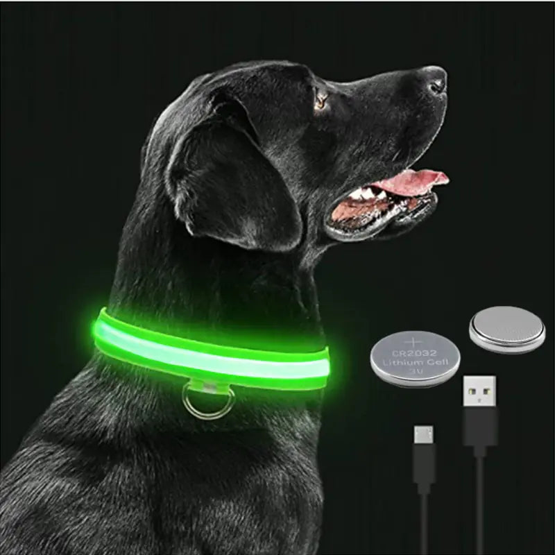 High Visibility LED Glowing Dog Collar