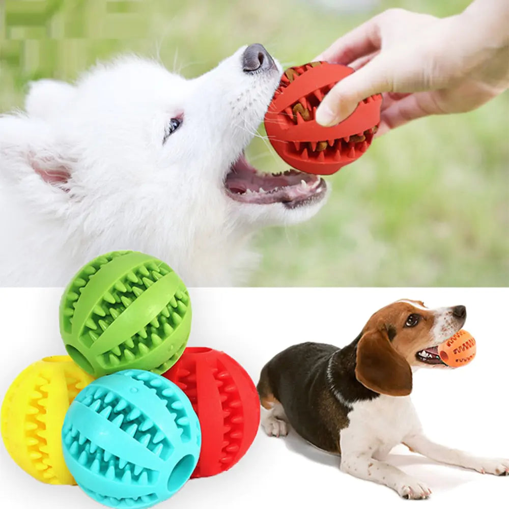 SnackSphere Teeth Cleaning Dog Toy