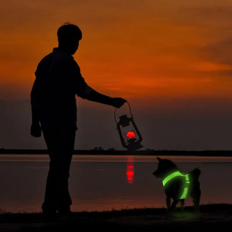 High Visibility LED Glowing Dog Harness