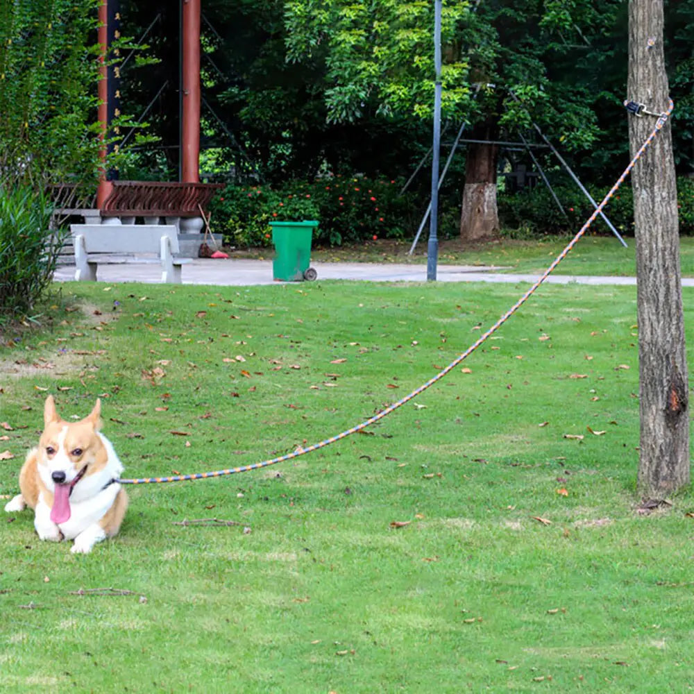 Reflective Dog Training Leash