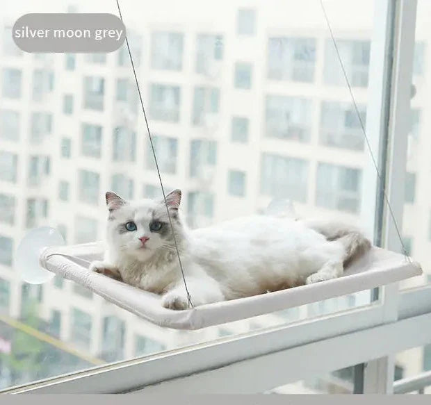 Cozy Retreat for Cats: Suction Cup Hanging Cat Hammock – Purrfection Elevated
