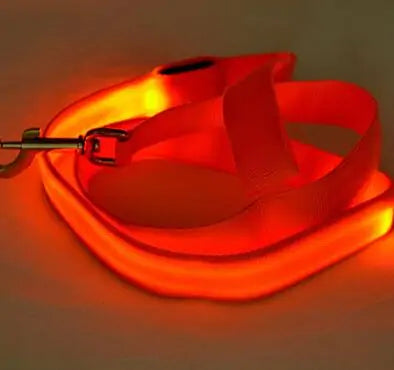 High Visibility LED Glow In Dark Dog Leash