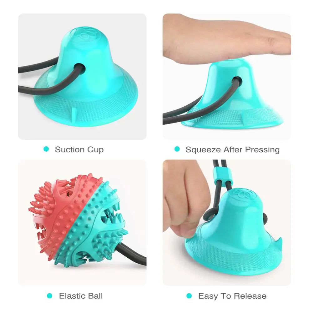 SiliChew Suction Pal: Pet Molar Bite Toy